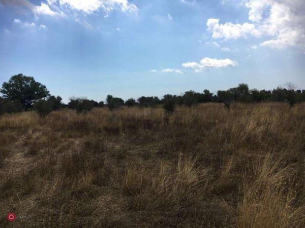 terreno agricolo in vendita a Siracusa