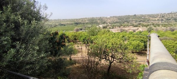 terreno agricolo in vendita a Siracusa in zona Belvedere