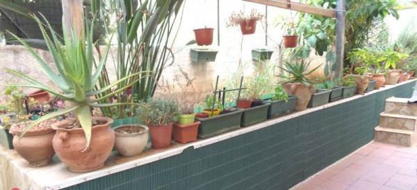 appartamento in vendita a Siracusa