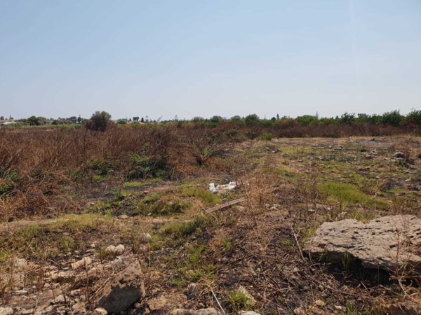 terreno agricolo in vendita a Siracusa in zona Arenella