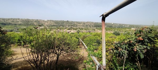 terreno agricolo in vendita a Siracusa in zona Belvedere