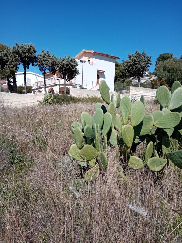 terreno agricolo in vendita a Siracusa in zona Isola / Plemmirio