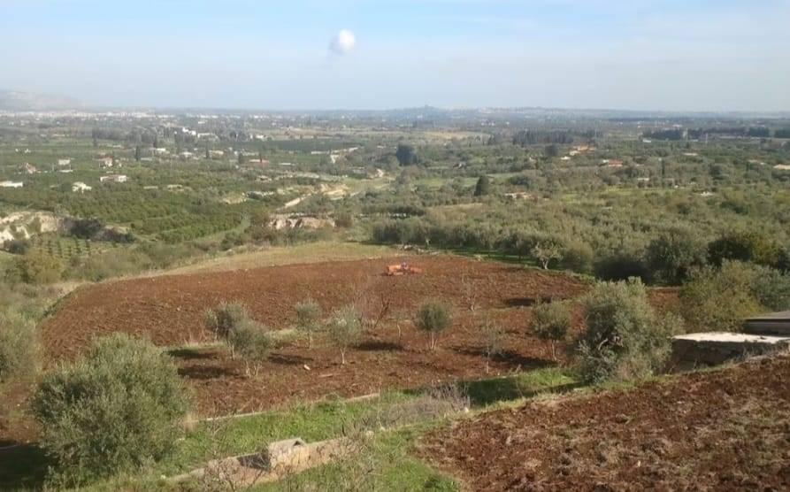 terreno agricolo in vendita a Siracusa in zona Belvedere