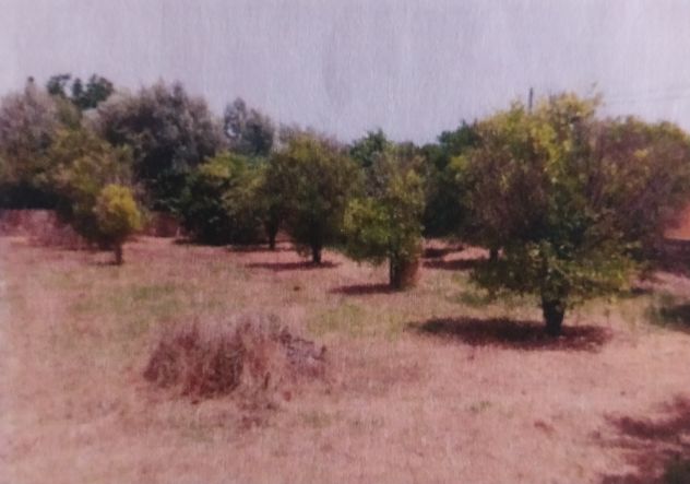 terreno agricolo in vendita a Siracusa in zona Arenella
