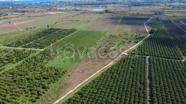 terreno agricolo in vendita a Siracusa
