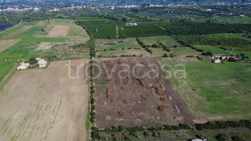 terreno agricolo in vendita a Siracusa