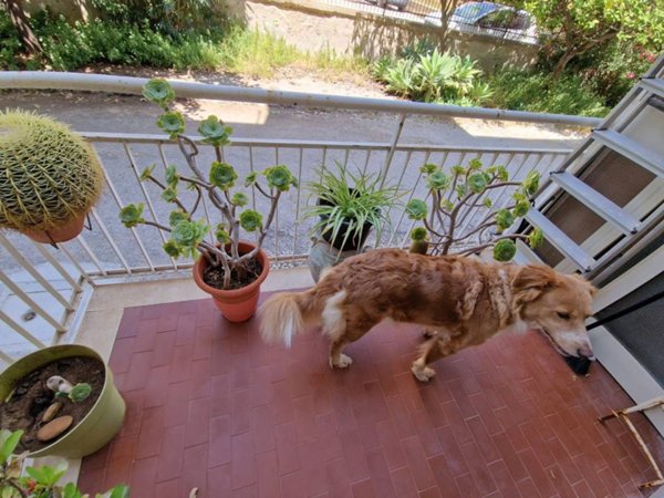 appartamento in vendita a Siracusa in zona Scala Greca