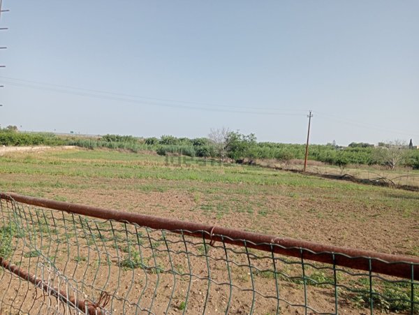 terreno agricolo in vendita a Siracusa in zona Belvedere