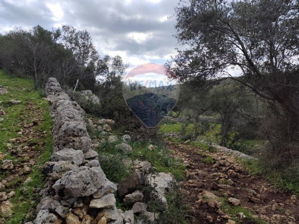 terreno agricolo in vendita a Siracusa