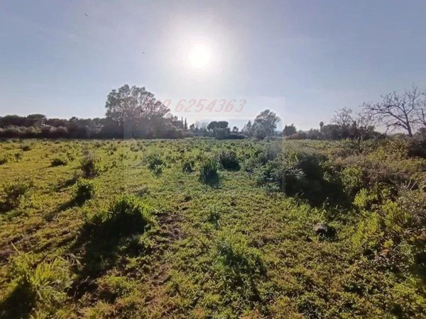 casa indipendente in vendita a Siracusa in zona Borgata