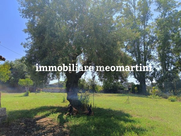 casa indipendente in vendita a Siracusa in zona Centro Città