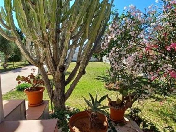 casa indipendente in vendita a Siracusa in zona Isola / Plemmirio