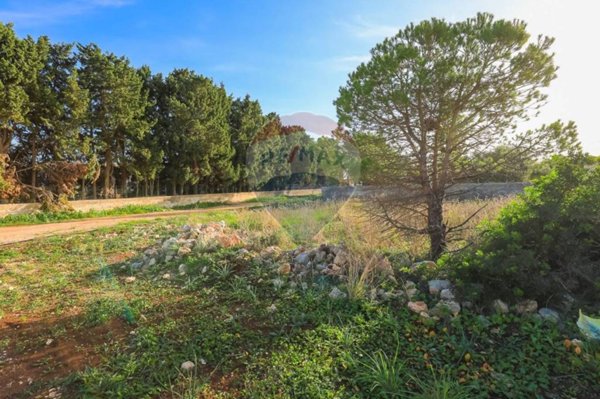 terreno agricolo in vendita a Siracusa in zona Isola / Plemmirio