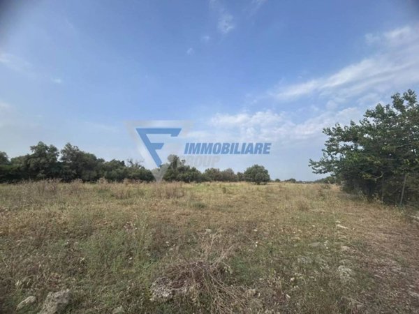 terreno agricolo in vendita a Siracusa in zona Centro Città