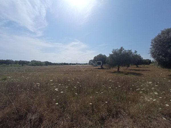terreno agricolo in vendita a Siracusa