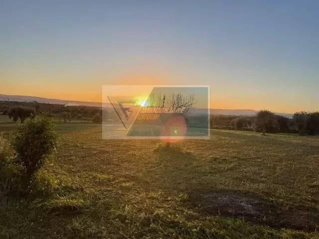 terreno agricolo in vendita a Siracusa in zona Borgata