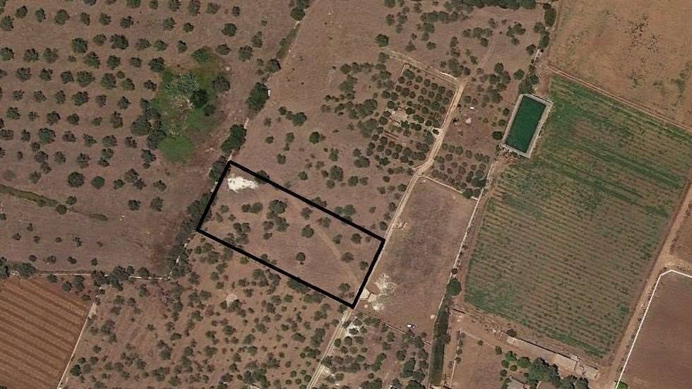 terreno agricolo in vendita a Siracusa in zona Fontane Bianche