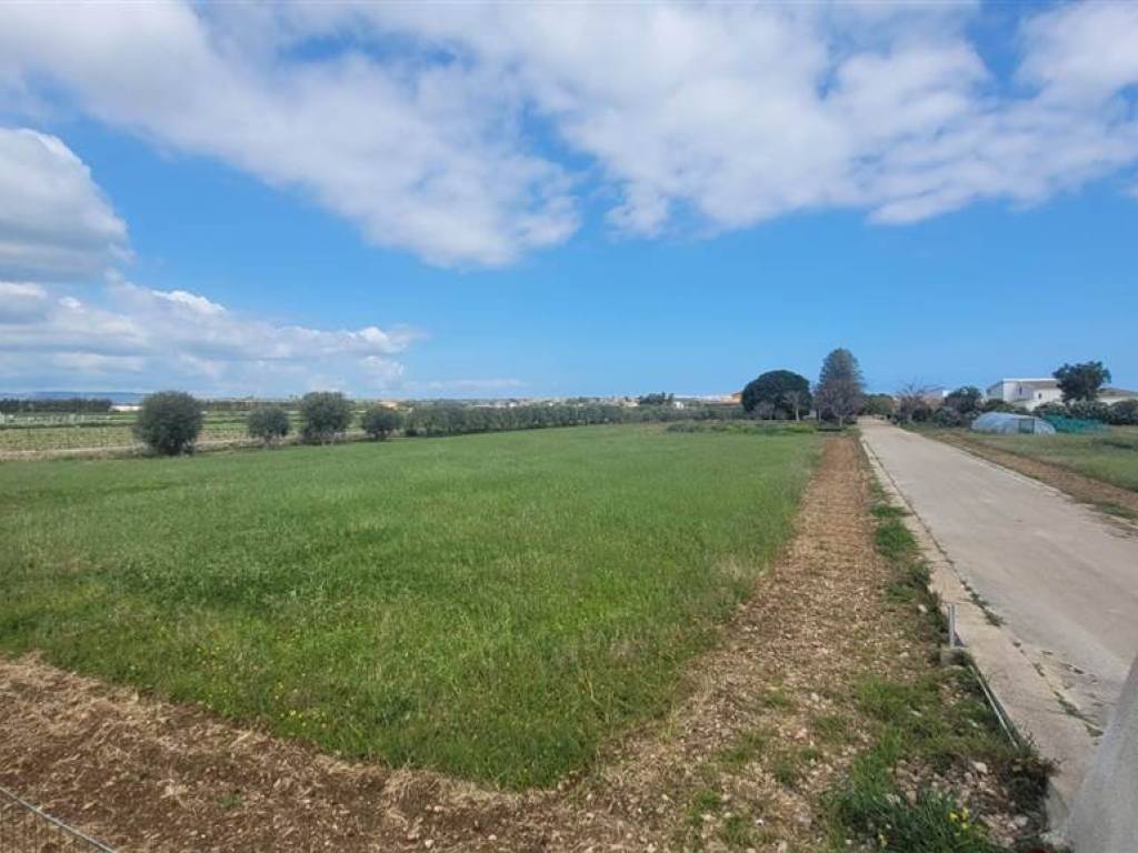 terreno agricolo in vendita a Siracusa in zona Isola / Plemmirio