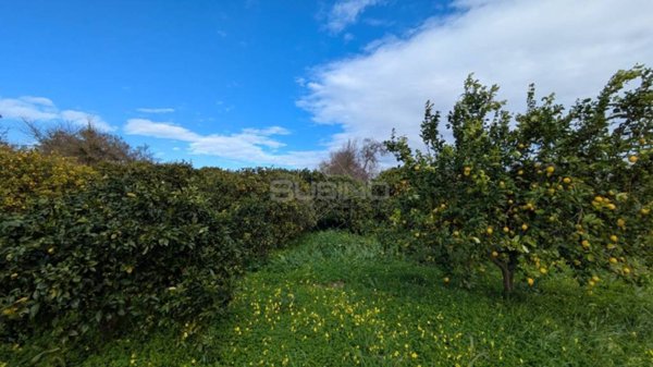 terreno agricolo in vendita a Siracusa