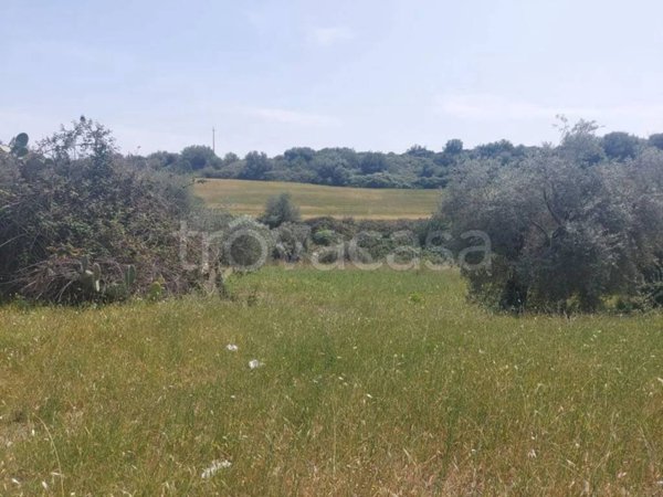 terreno agricolo in vendita a Siracusa in zona Belvedere