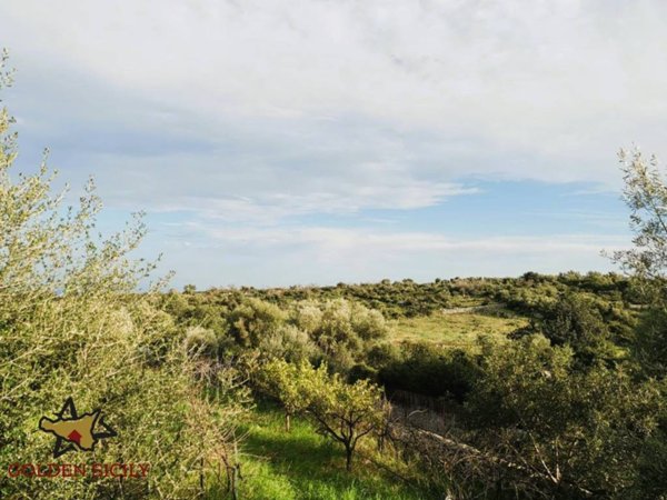 terreno agricolo in vendita a Siracusa in zona Belvedere