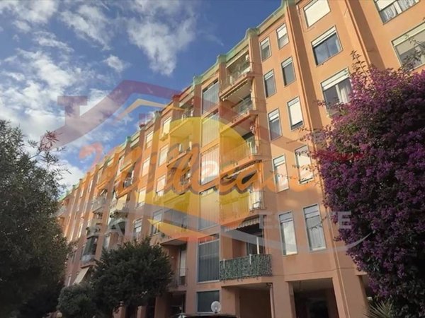 immagine annuncio 0 di 13