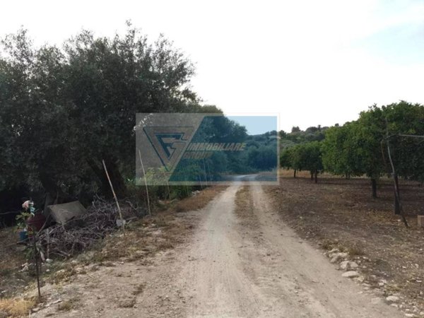 terreno agricolo in vendita a Siracusa in zona Belvedere