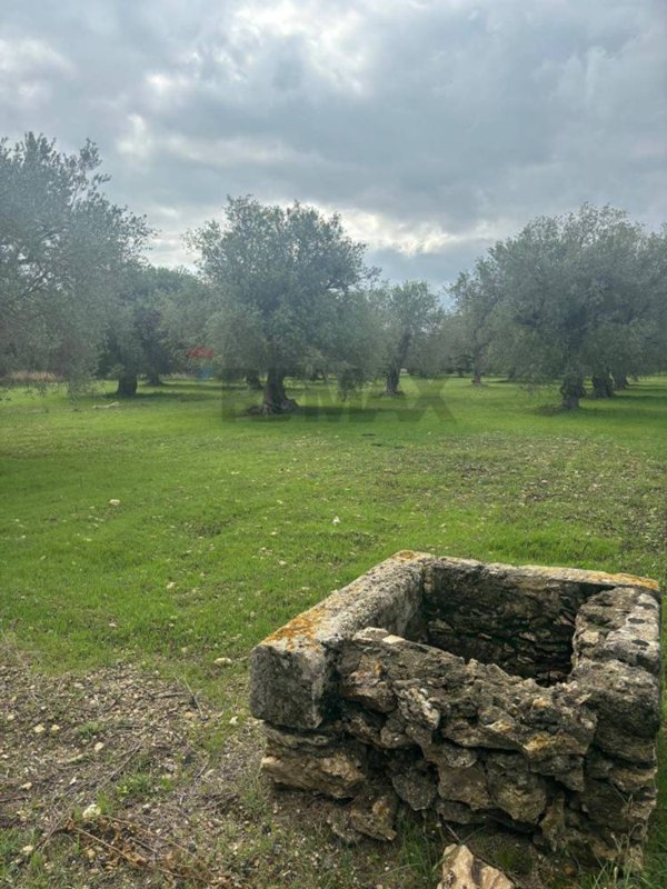 terreno agricolo in vendita a Siracusa