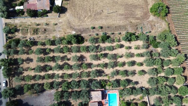 terreno agricolo in vendita a Siracusa in zona Arenella