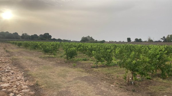 terreno agricolo in vendita a Siracusa