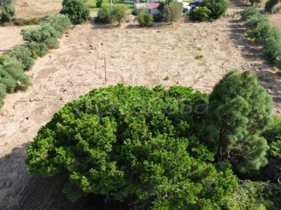 appartamento in vendita a Siracusa in zona Isola / Plemmirio