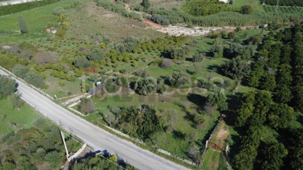 terreno agricolo in vendita a Siracusa in zona Belvedere