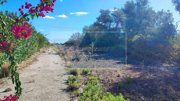 terreno agricolo in vendita a Siracusa in zona Borgata