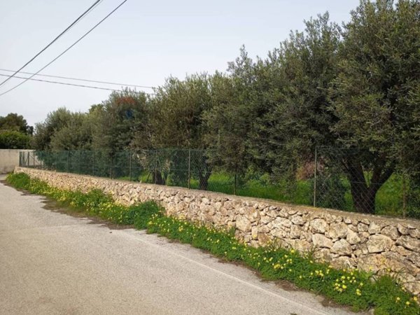 terreno agricolo in vendita a Siracusa in zona Isola / Plemmirio