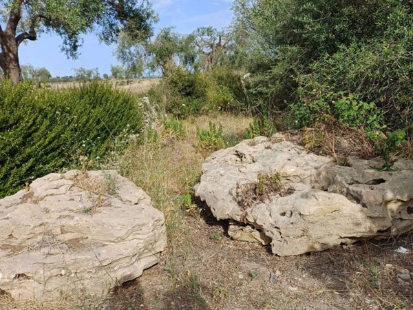 terreno edificabile in vendita a Siracusa in zona Belvedere