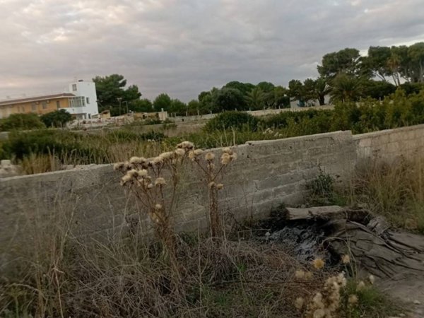 terreno agricolo in vendita a Siracusa in zona Isola / Plemmirio