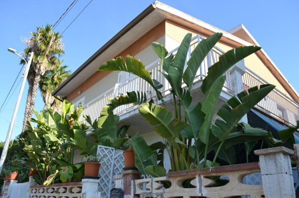 casa indipendente in vendita a Siracusa in zona Cassibile