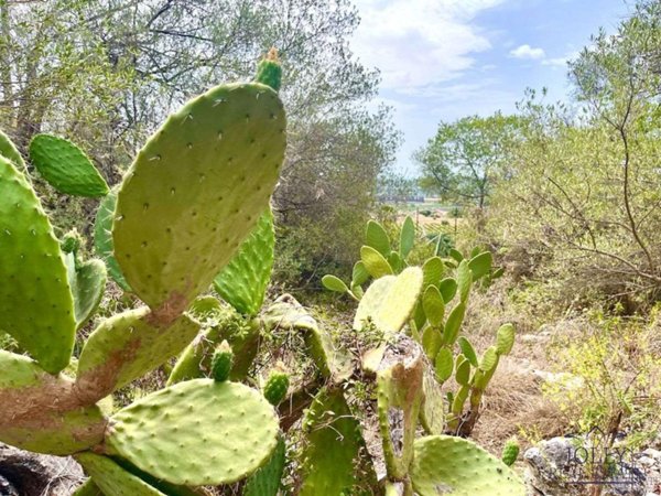 casale in vendita a Siracusa in zona Epipoli