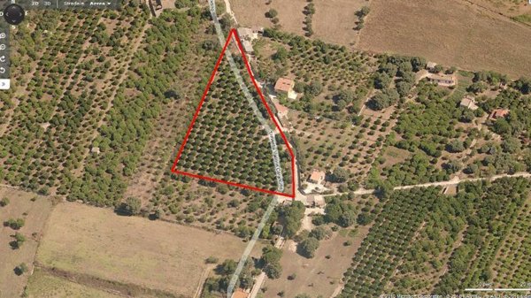 terreno agricolo in vendita a Siracusa in zona Belvedere