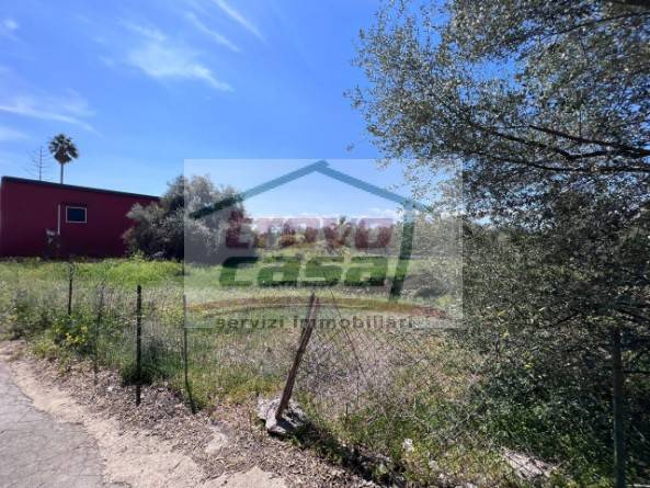 terreno agricolo in vendita a Siracusa in zona Belvedere