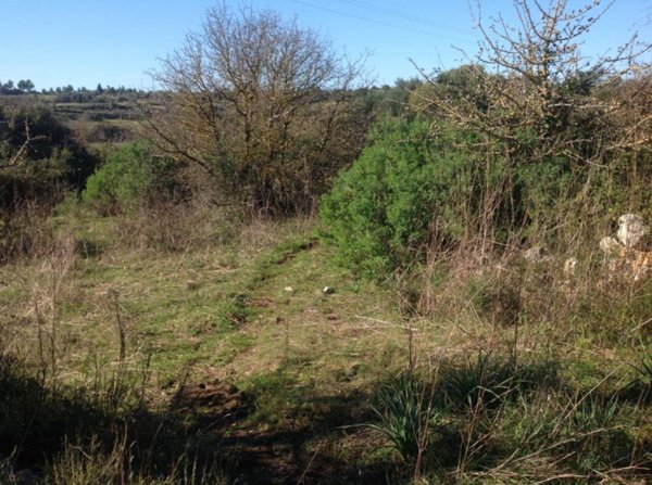 terreno agricolo in vendita a Siracusa