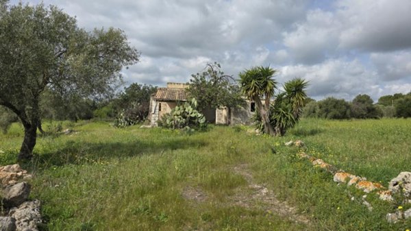 terreno agricolo in vendita a Siracusa