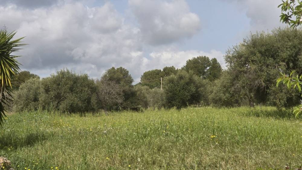 terreno agricolo in vendita a Siracusa in zona Belvedere