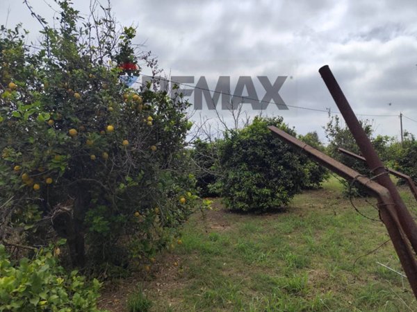 terreno agricolo in vendita a Siracusa in zona Targia