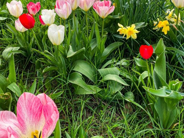 casa indipendente in vendita a Siracusa in zona Belvedere