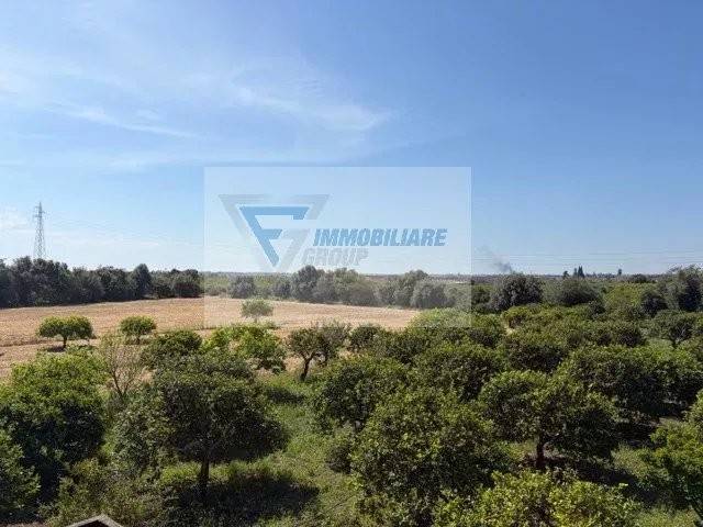 terreno agricolo in vendita a Siracusa in zona Belvedere