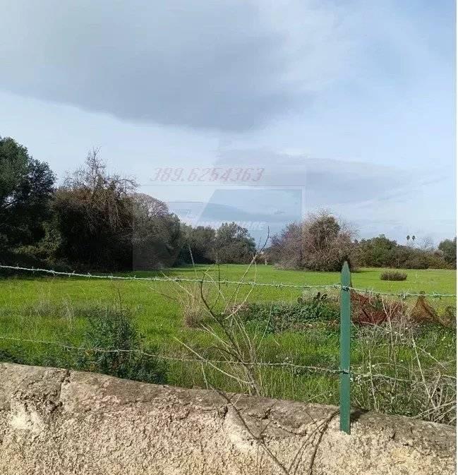 terreno agricolo in vendita a Siracusa in zona Borgata