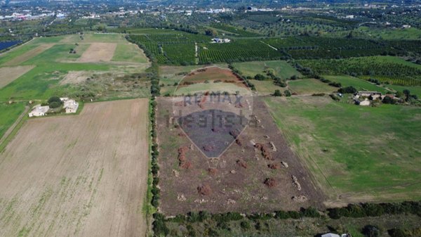 terreno agricolo in vendita a Siracusa in zona Belvedere