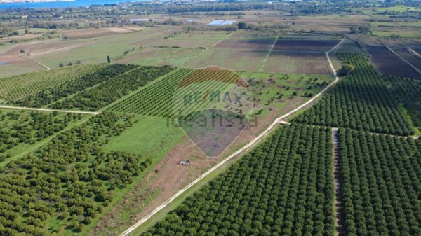 terreno agricolo in vendita a Siracusa in zona Belvedere