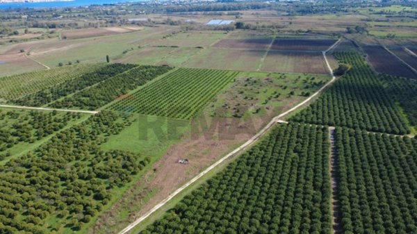 terreno agricolo in vendita a Siracusa